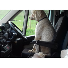 Stablecroft Team Member Driving Over Rainbow Bridge