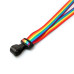 Rainbow Lanyard Plastic J Clip Rainbow Lanyard Plastic J Clip