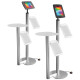 iPad Display with 2 Brochure Holders