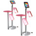 iPad Display with 2 Brochure Holders iPad Display with 2 Brochure Holders