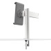 Adjustable Desk Clamp Tablet Holder – Space-Saving, Secure & Fully Flexible Adjustable Desk Clamp Tablet Holder – Space-Saving, Secure & Fully Flexible