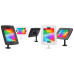 iPad Counter Mount – Secure, Stylish & Perfect for Interactive Spaces