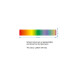 Rainbow Lanyard Sleeves Rainbow Lanyard Sleeves