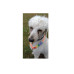 Rainbow Lanyard Sleeves Rainbow Lanyard Sleeves