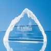 award plaque 51