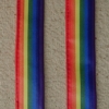 rainbow lanyard sleeve 2