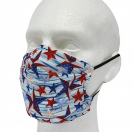 2ply pleated polyester mask